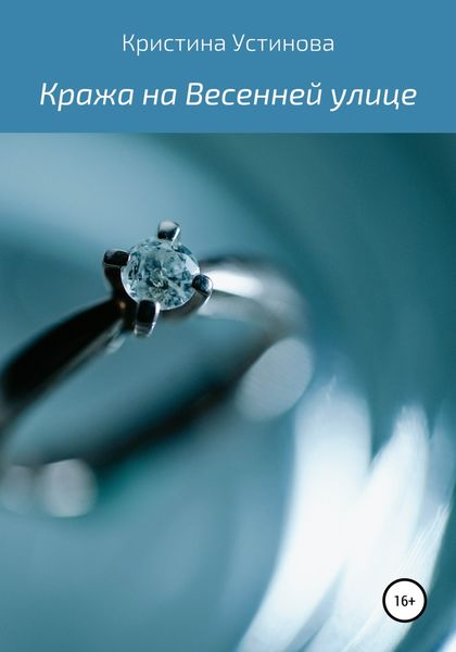 Обложка книги  «Кража на Весенней улице»