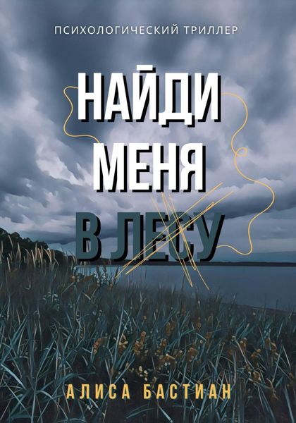Обложка книги  «Найди меня в лесу»
