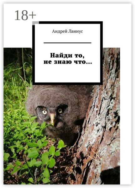 Обложка книги  «Найди то, не знаю что…»