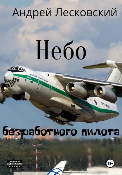 Обложка книги  «Небо безработного пилота»