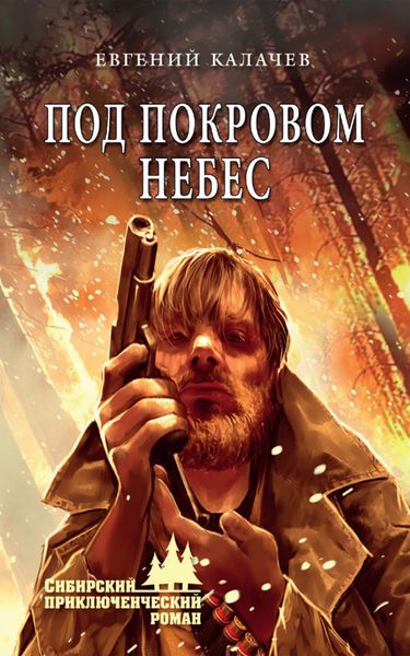 Обложка книги  «Под покровом небес»