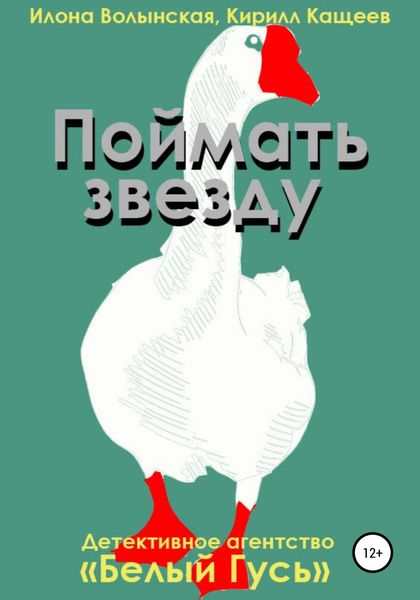 Обложка книги  «Поймать звезду»