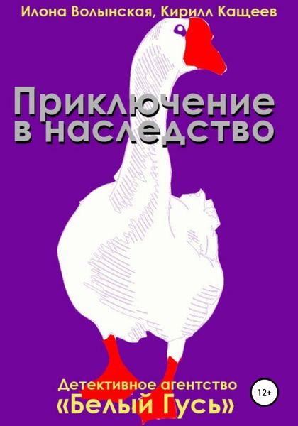 Обложка книги  «Приключение в наследство»