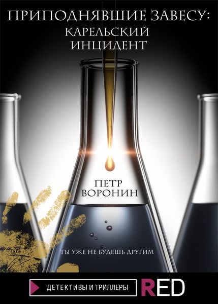 Обложка книги  «Приподнявшие завесу. Карельский инцидент»