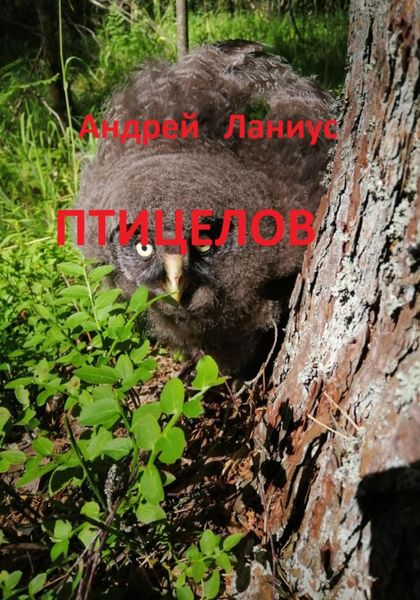 Обложка книги  «Птицелов»