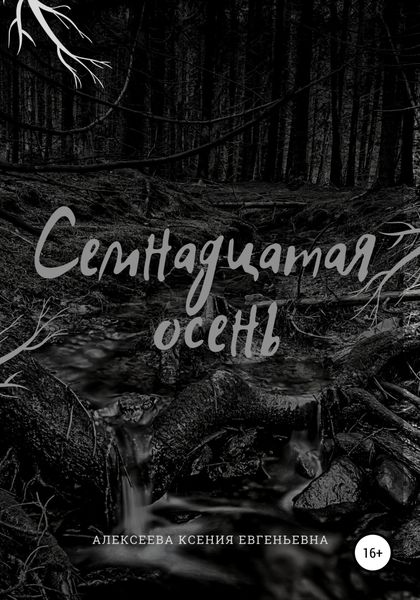 Обложка книги  «Семнадцатая осень»