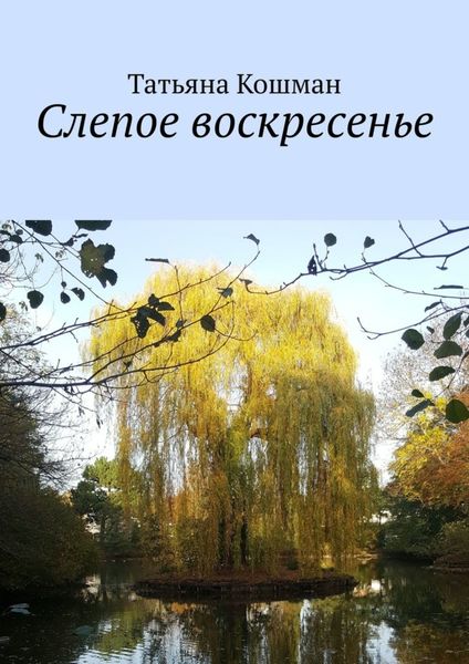 Обложка книги  «Слепое воскресенье»
