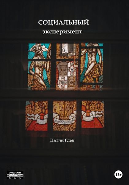 Обложка книги  «Социальный эксперимент»