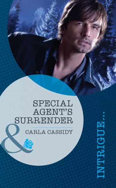 Обложка книги  «Special Agent's Surrender»