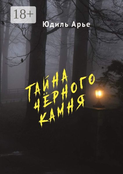 Обложка книги  «Тайна чёрного камня»