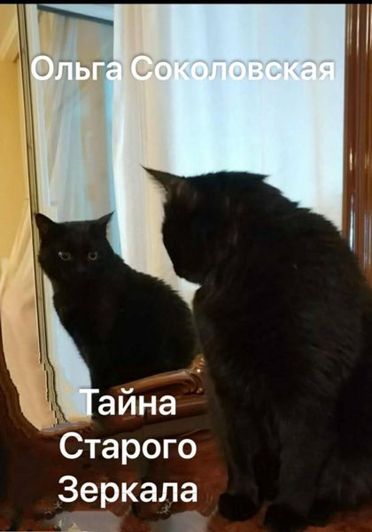 Обложка книги  «Тайна старого зеркала»