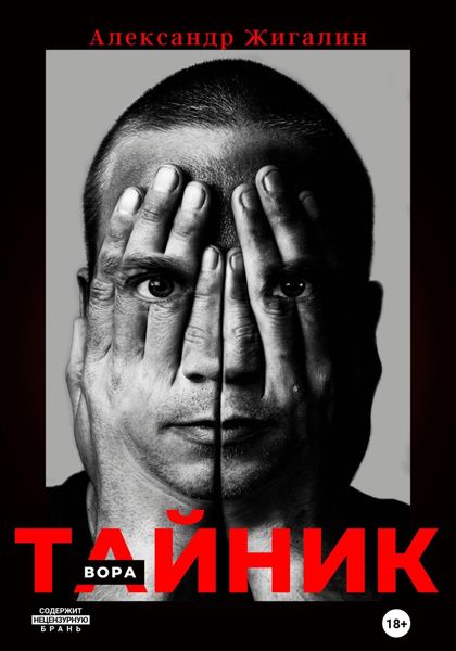 Обложка книги  «Тайник вора»