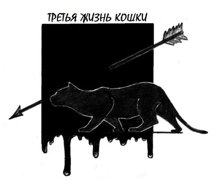 Обложка книги  «Третья жизнь кошки»