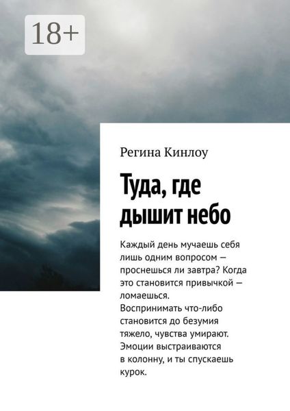Обложка книги  «Туда, где дышит небо»