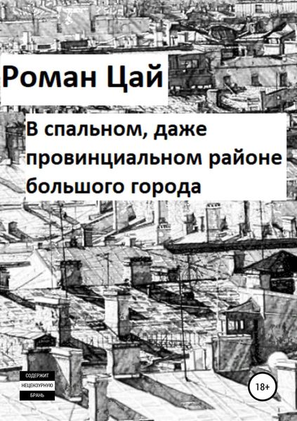 Обложка книги  «В спальном, даже провинциальном районе большого города»