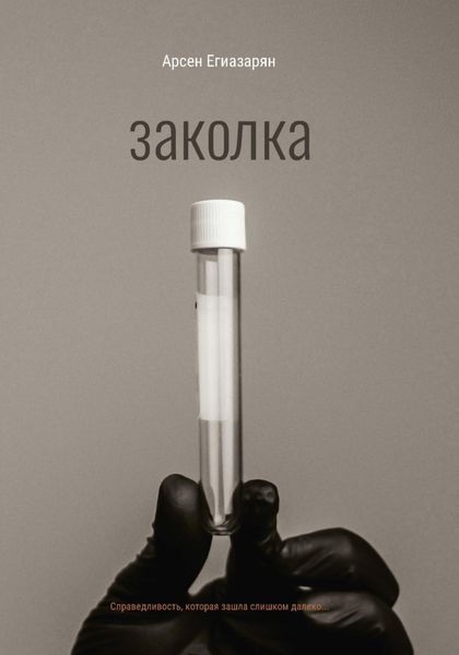 Обложка книги  «Заколка»