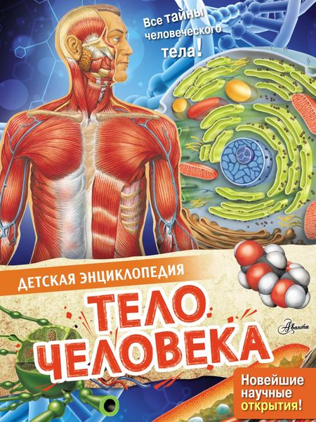 Обложка книги  «Тело человека»