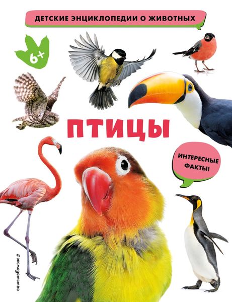Обложка книги  «Птицы»