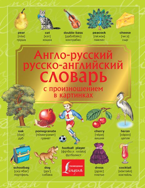 Обложка книги  «Англо-русский. Русско-английский словарь с произношением в картинках»