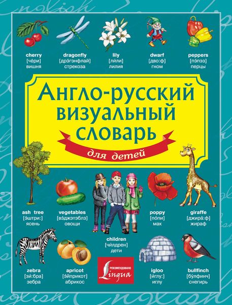 Обложка книги  «Англо-русский визуальный словарь для детей»