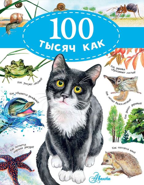 Обложка книги  «100 тысяч как»