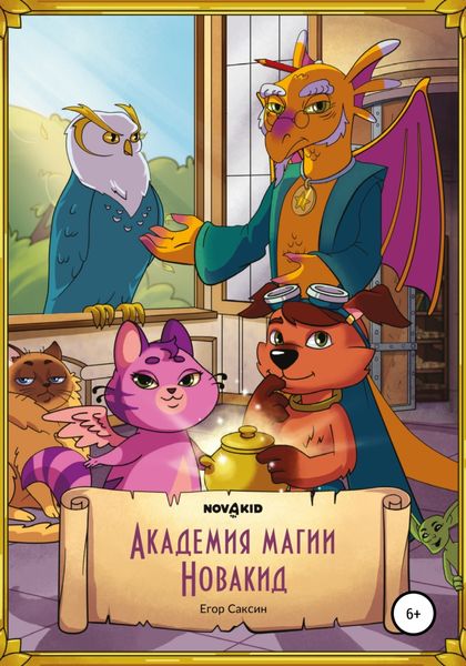 Обложка книги  «Академия Магии Новакид»