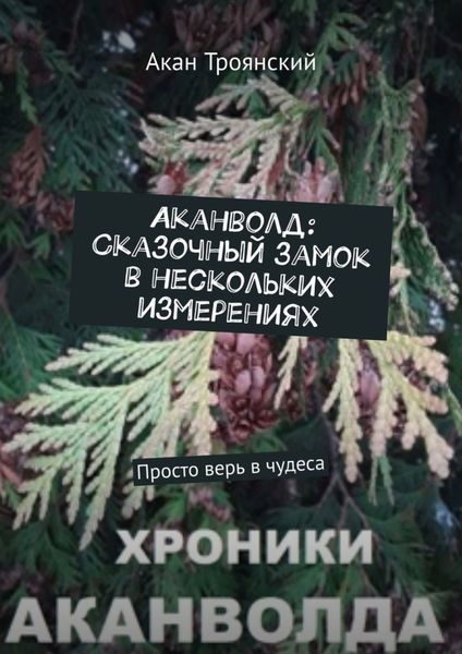 Обложка книги  «Аканволд: Сказочный замок в нескольких измерениях. Просто верь в чудеса»