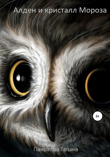 Обложка книги  «Алден и кристалл Мороза»