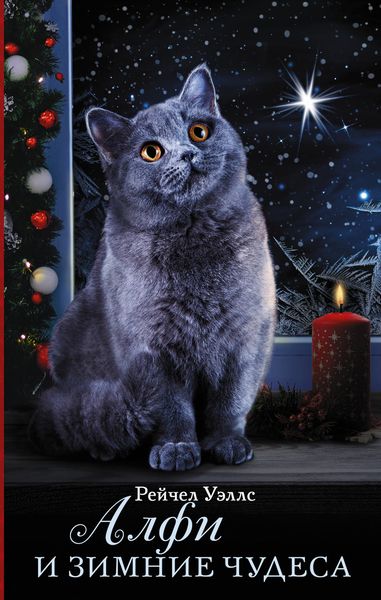 Обложка книги  «Алфи и зимние чудеса»
