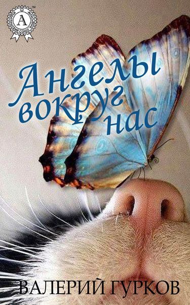 Обложка книги  «Ангелы вокруг нас»