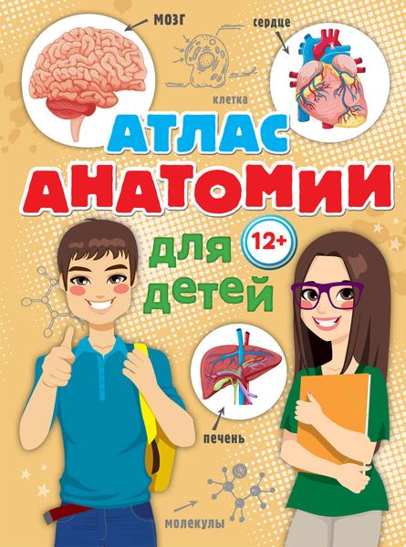 Обложка книги  «Атлас анатомии для детей»