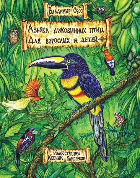 Обложка книги  «Азбука диковинных птиц. Для взрослых и детей»