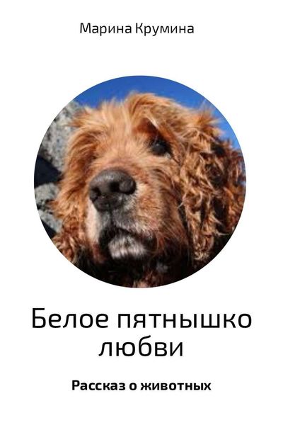 Обложка книги  «Белое пятнышко любви»