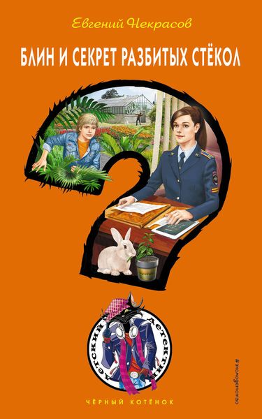 Обложка книги  «Блин и секрет разбитых стекол»
