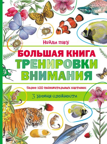 Обложка книги  «Большая книга тренировки внимания»
