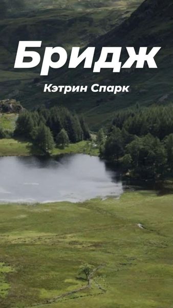 Обложка книги «Бридж»