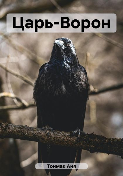 Обложка книги  «Царь-Ворон»