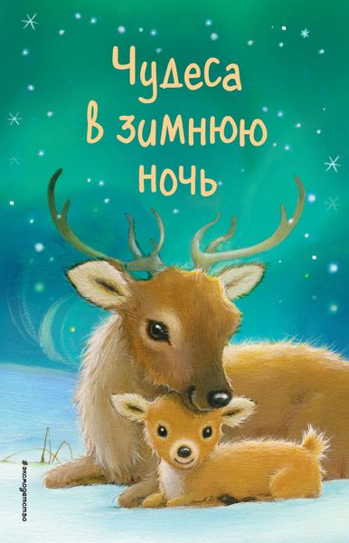 Обложка книги  «Чудеса в зимнюю ночь»