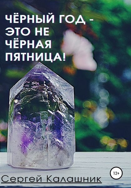 Обложка книги  «Чёрный год – это не чёрная пятница!»