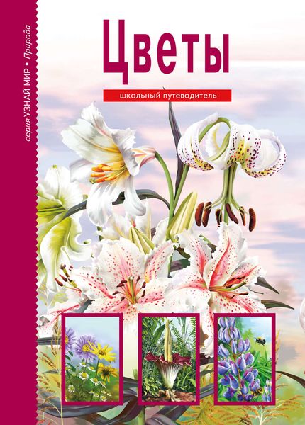 Обложка книги  «Цветы»