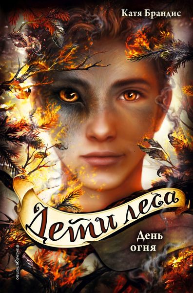 Обложка книги  «День огня»