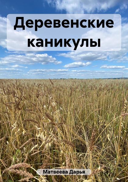 Обложка книги  «Деревенские каникулы»