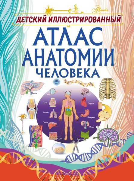 Обложка книги  «Детский иллюстрированный атлас анатомии человека»
