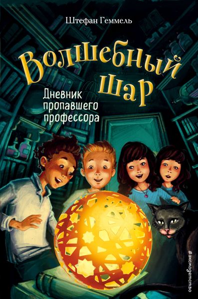 Обложка книги  «Дневник пропавшего профессора»