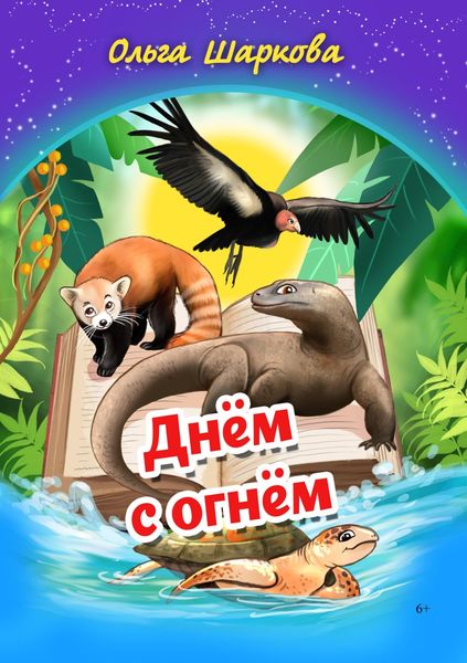 Обложка книги  «Днём с огнём»