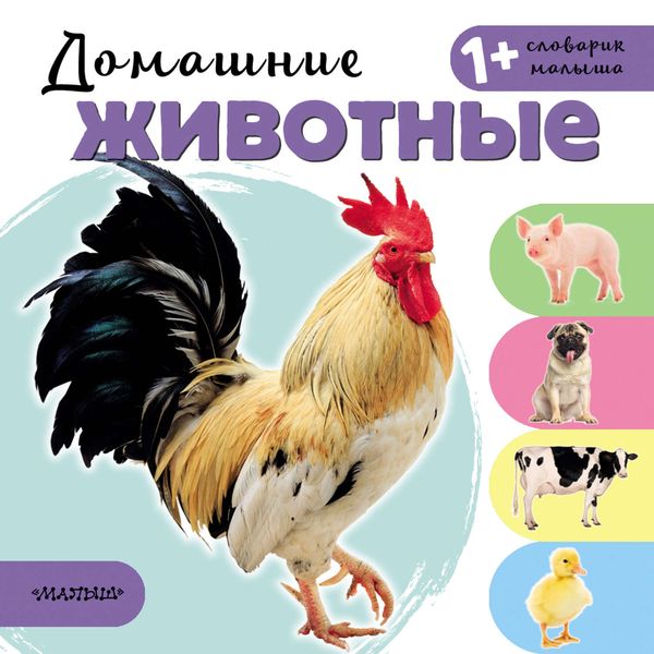 Обложка книги  «Домашние животные»