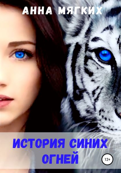 Обложка книги  «История Синих Огней»