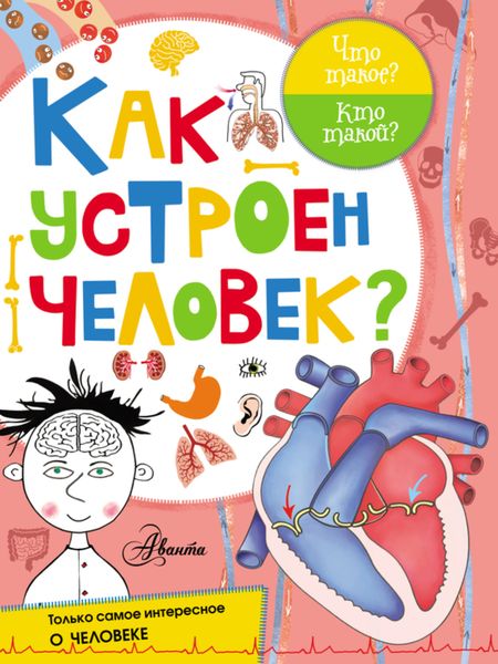 Обложка книги  «Как устроен человек?»