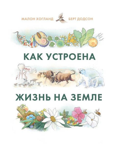 Обложка книги  «Как устроена жизнь на Земле»