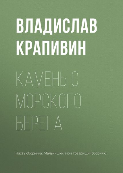 Обложка книги  «Камень с морского берега»